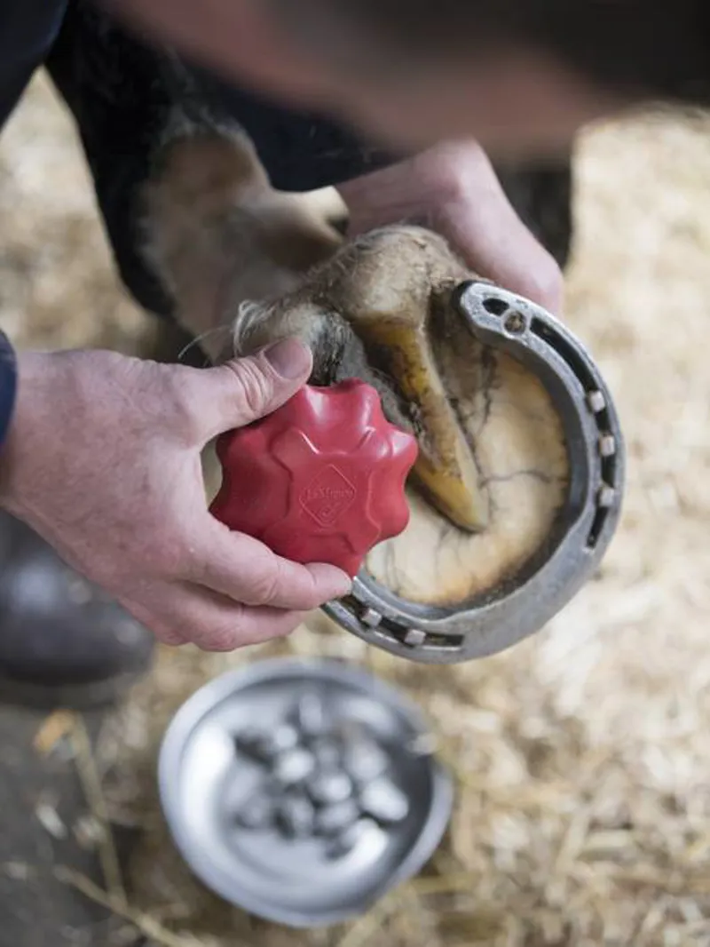 LeMieux Safety Stud Tap in Red-1
